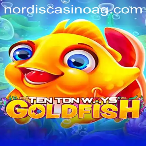 Dive into the Exciting World of 